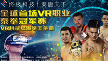 VR世界职业泰拳冠军赛