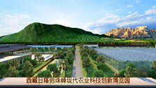 西藏珠峰农业博览园VR视频