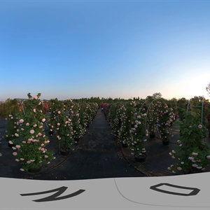 utovr
